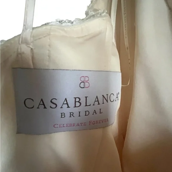 Elegant Lace Wedding Dress - Picture 13 of 16